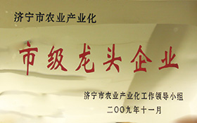 市級(jí)龍頭企業(yè)-2009.jpg