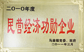 民營經(jīng)濟(jì)功勛企業(yè)-2011.jpg